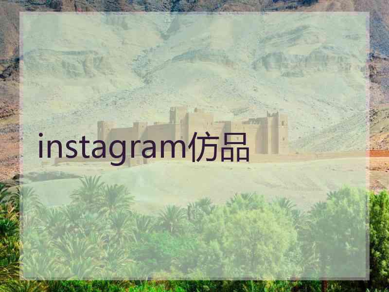 instagram仿品