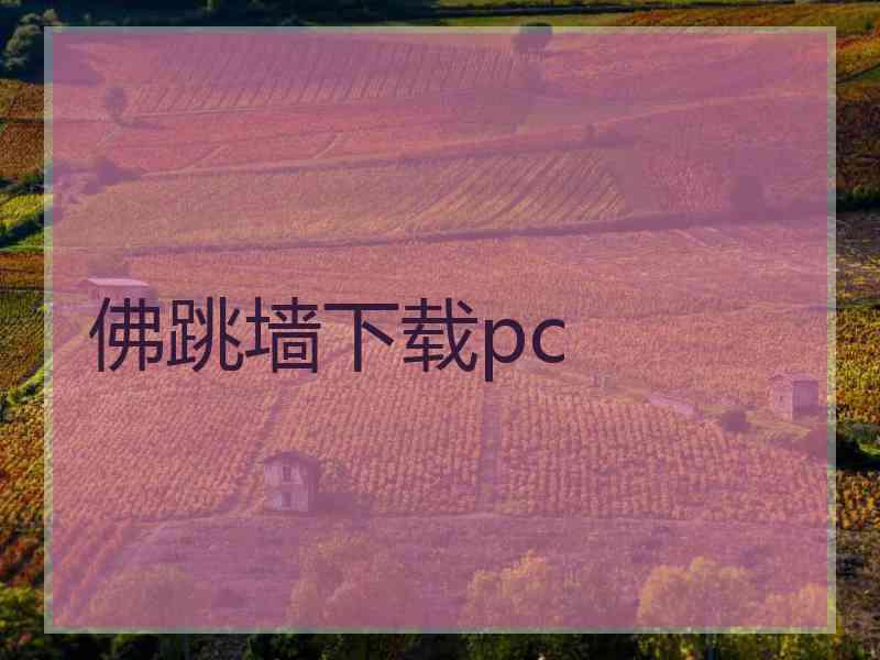 佛跳墙下载pc