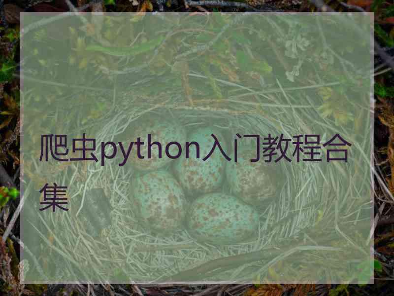 爬虫python入门教程合集