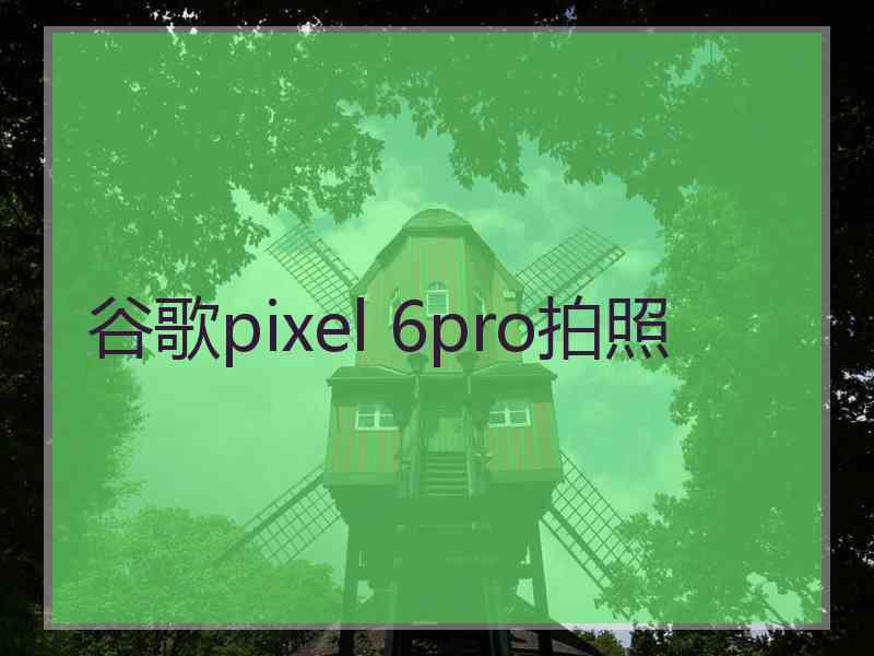 谷歌pixel 6pro拍照