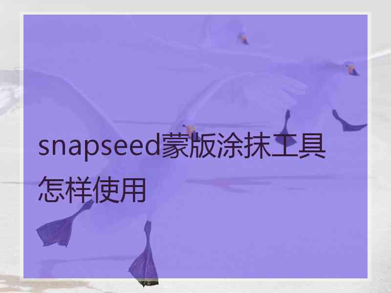 snapseed蒙版涂抹工具怎样使用