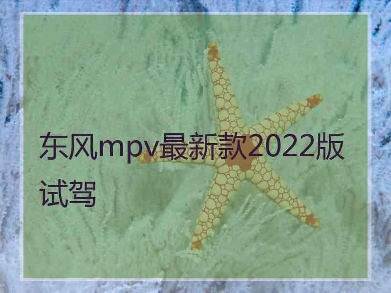 东风mpv最新款2022版试驾