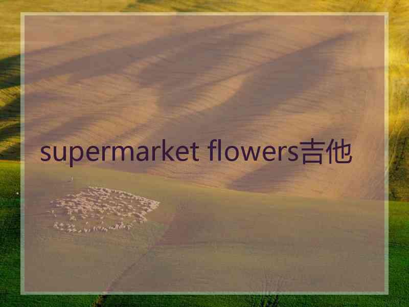 supermarket flowers吉他