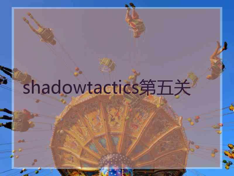 shadowtactics第五关