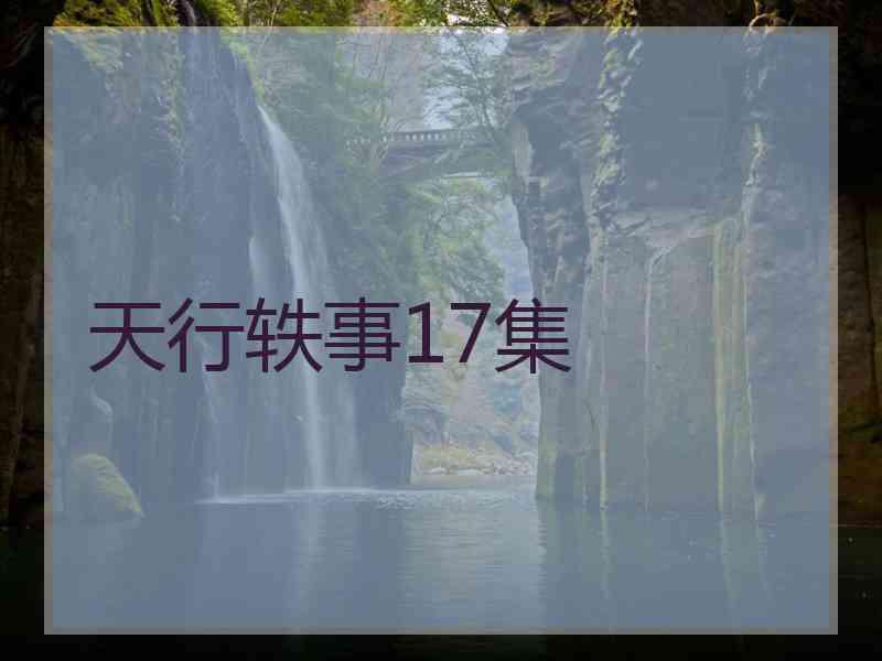 天行轶事17集