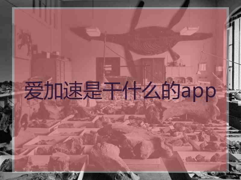 爱加速是干什么的app