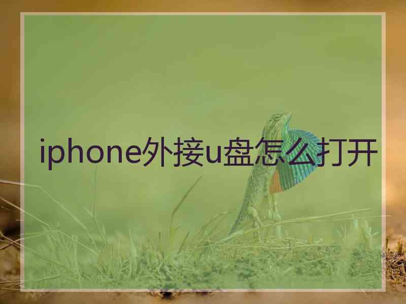 iphone外接u盘怎么打开