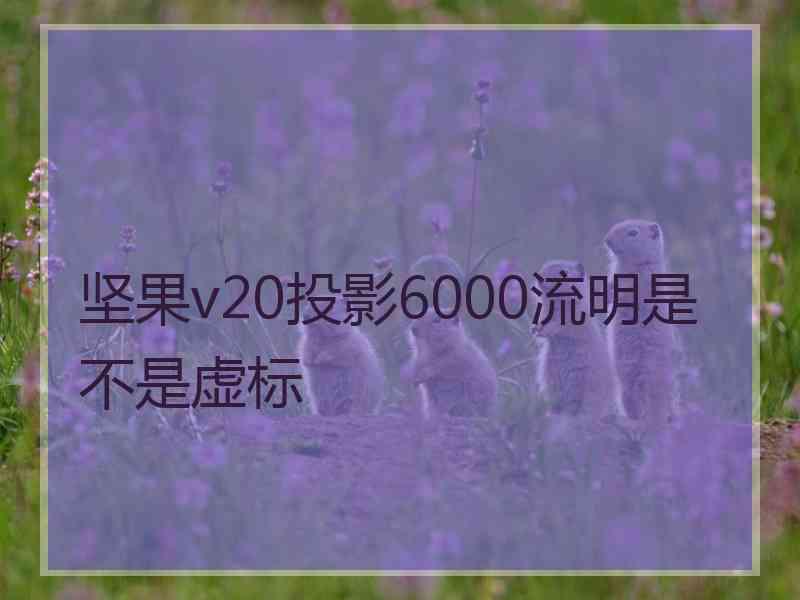 坚果v20投影6000流明是不是虚标