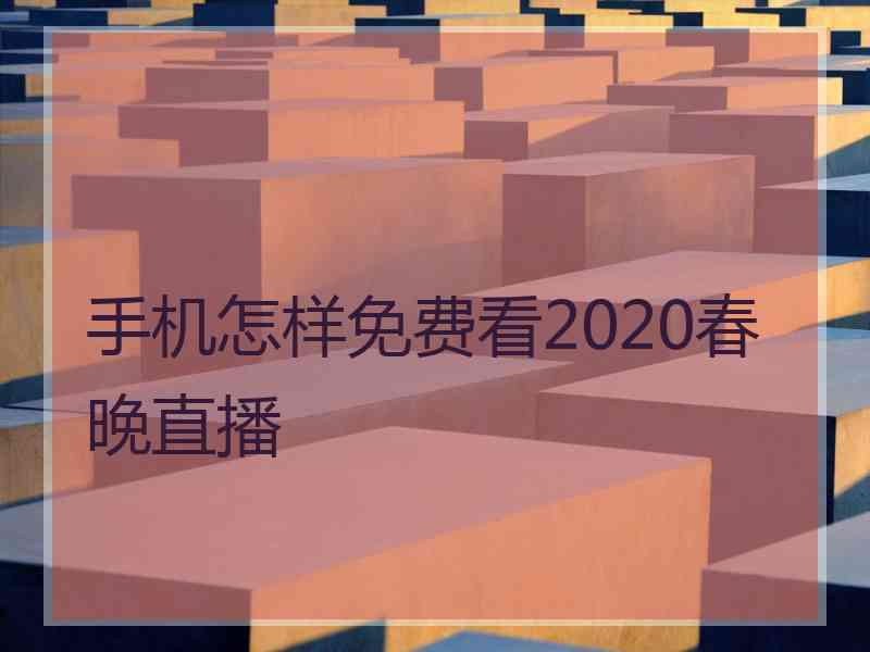 手机怎样免费看2020春晚直播