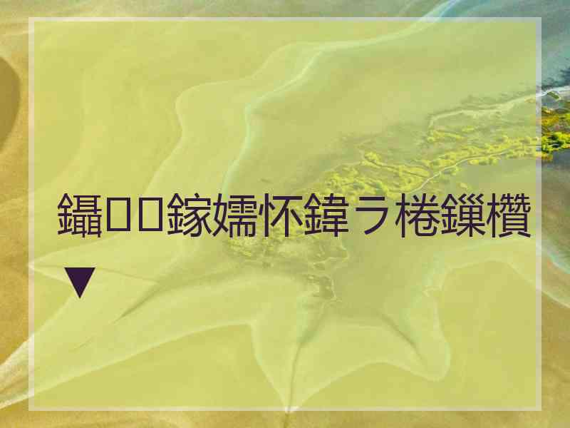 鑷鎵嬬怀鍏ラ棬鏁欑▼