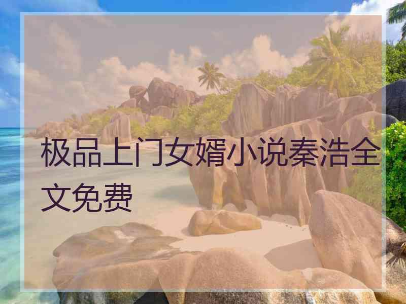 极品上门女婿小说秦浩全文免费