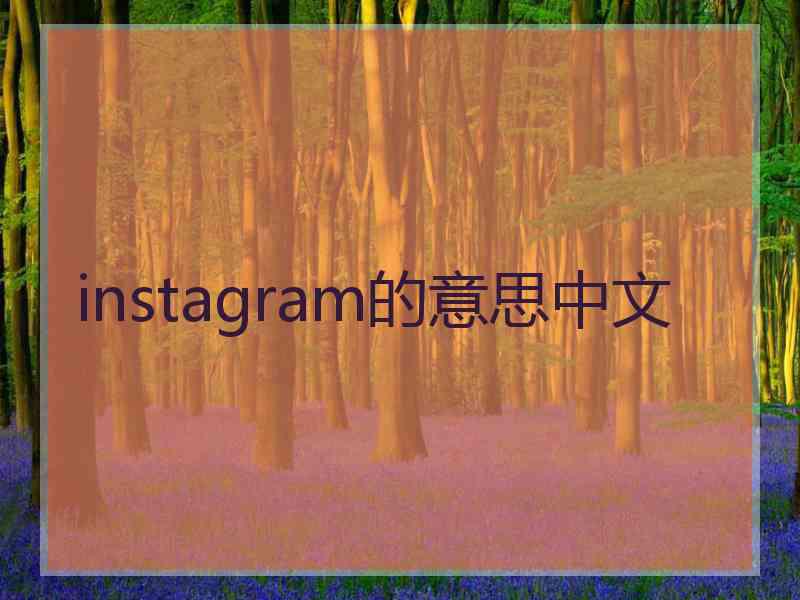 instagram的意思中文