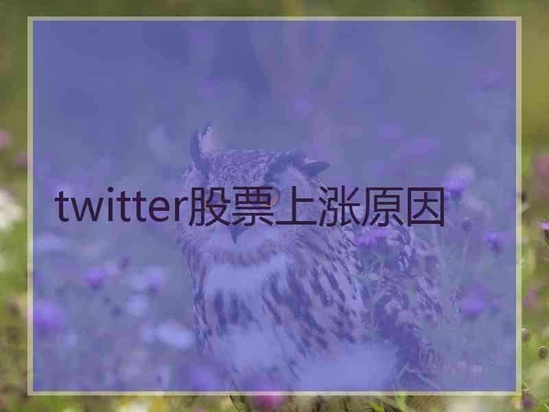 twitter股票上涨原因