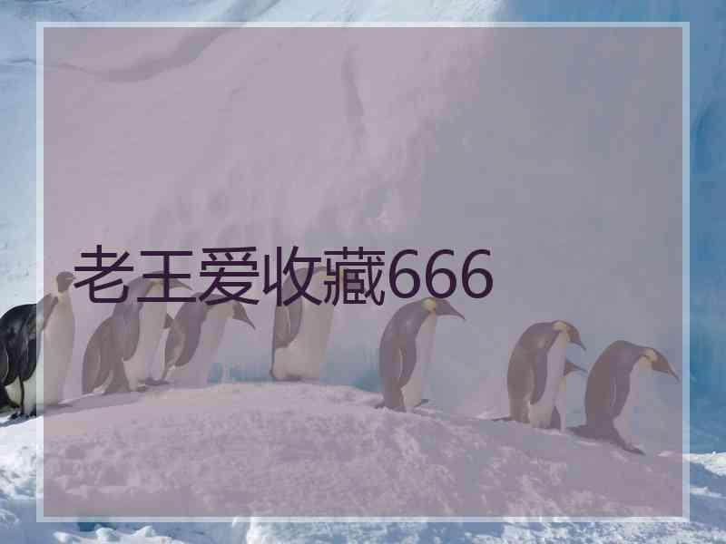 老王爱收藏666