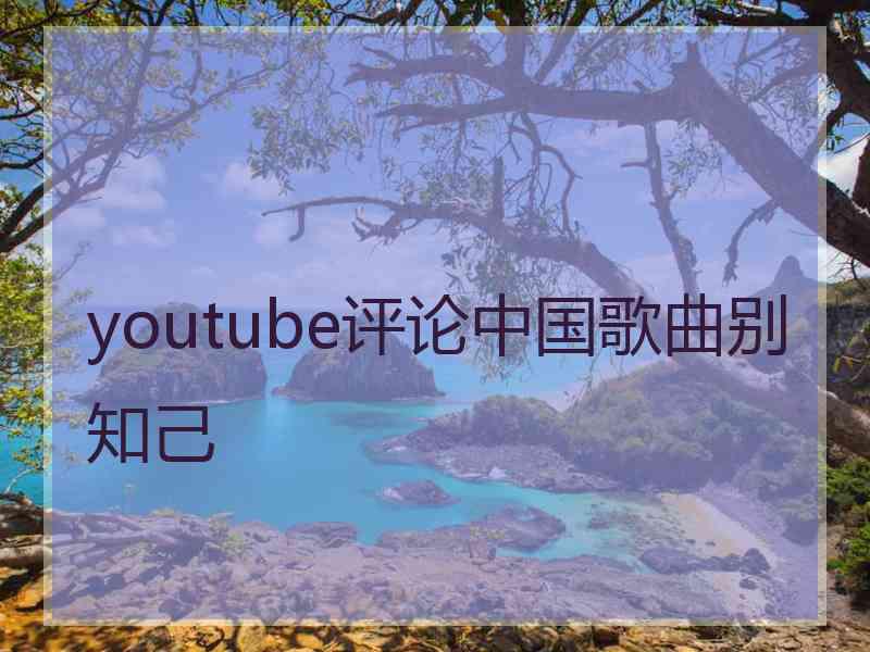 youtube评论中国歌曲别知己