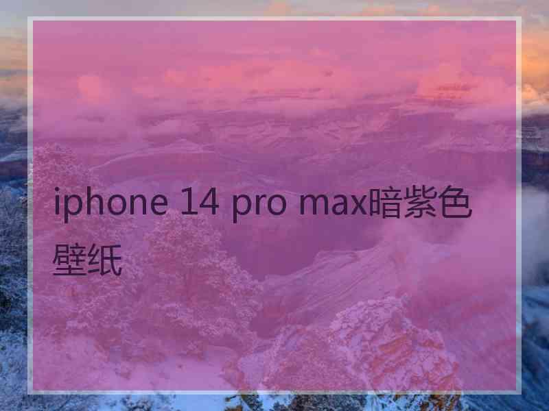 iphone 14 pro max暗紫色壁纸