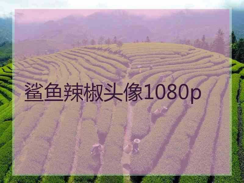 鲨鱼辣椒头像1080p