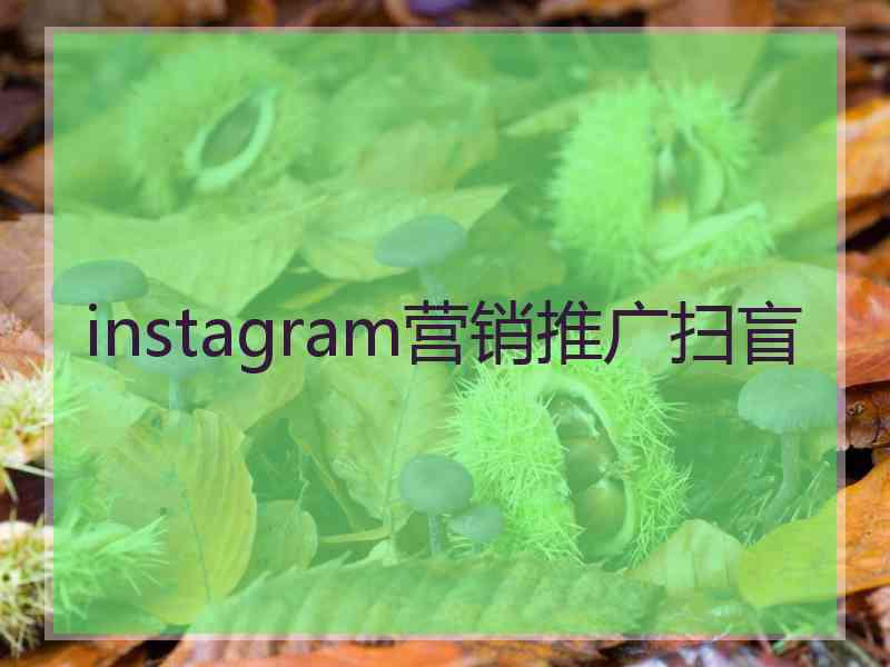 instagram营销推广扫盲