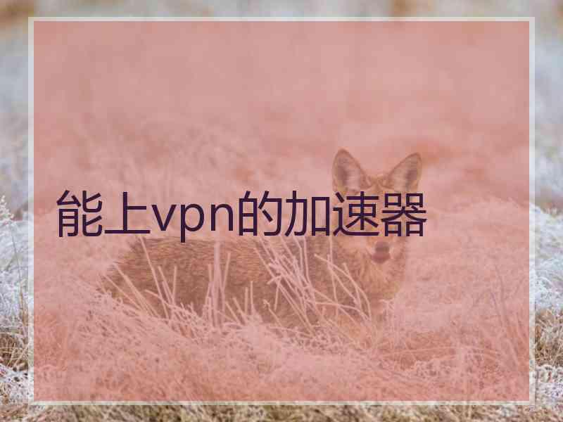 能上vpn的加速器