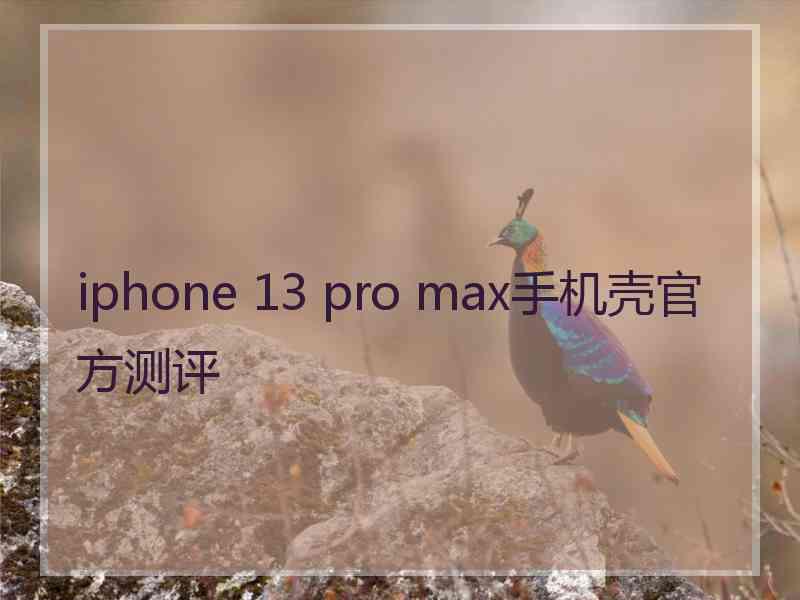 iphone 13 pro max手机壳官方测评