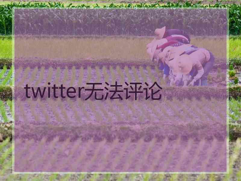 twitter无法评论