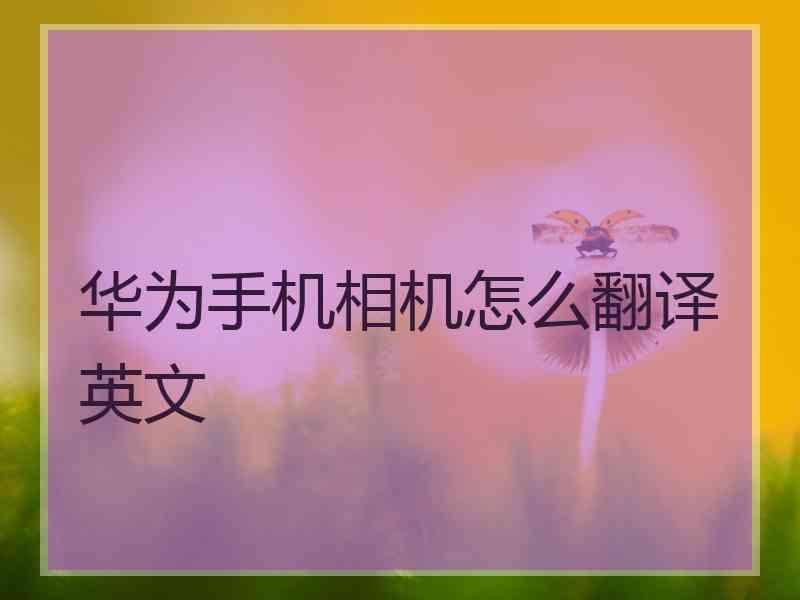 华为手机相机怎么翻译英文