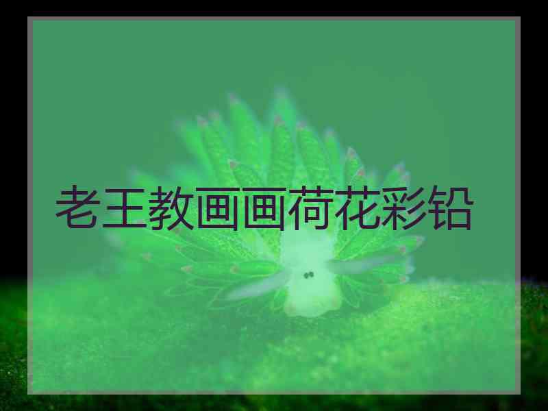 老王教画画荷花彩铅