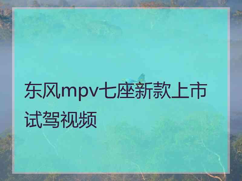 东风mpv七座新款上市试驾视频