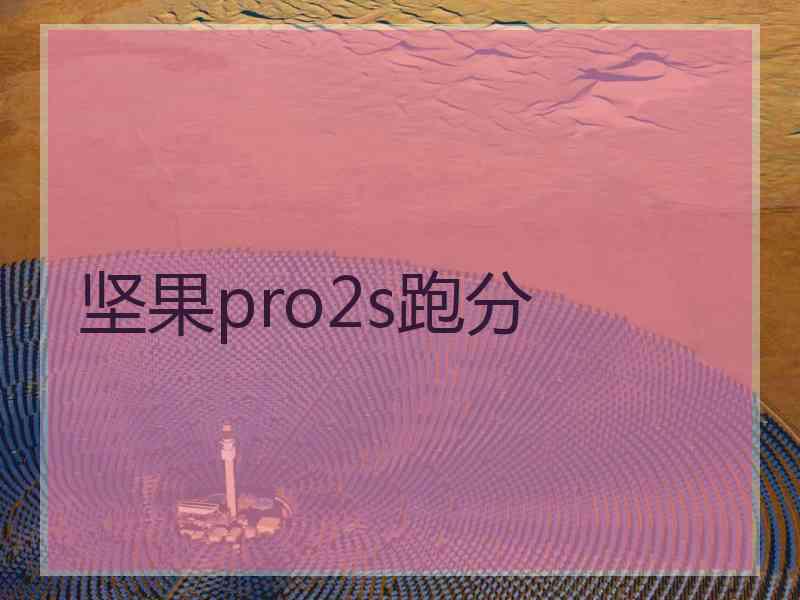 坚果pro2s跑分