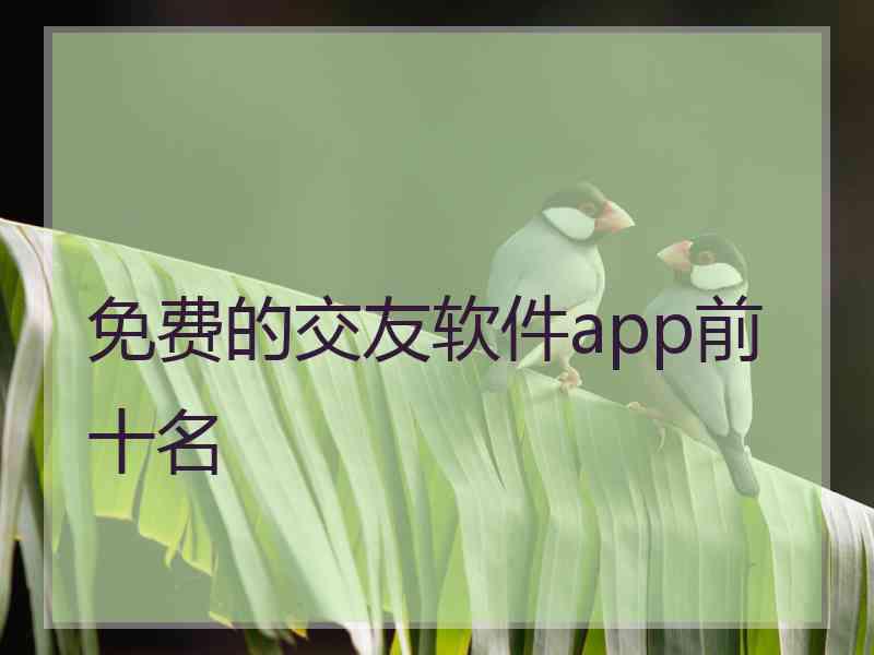 免费的交友软件app前十名