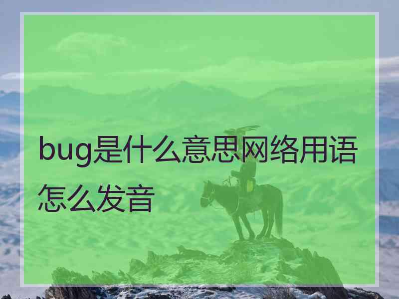 bug是什么意思网络用语怎么发音