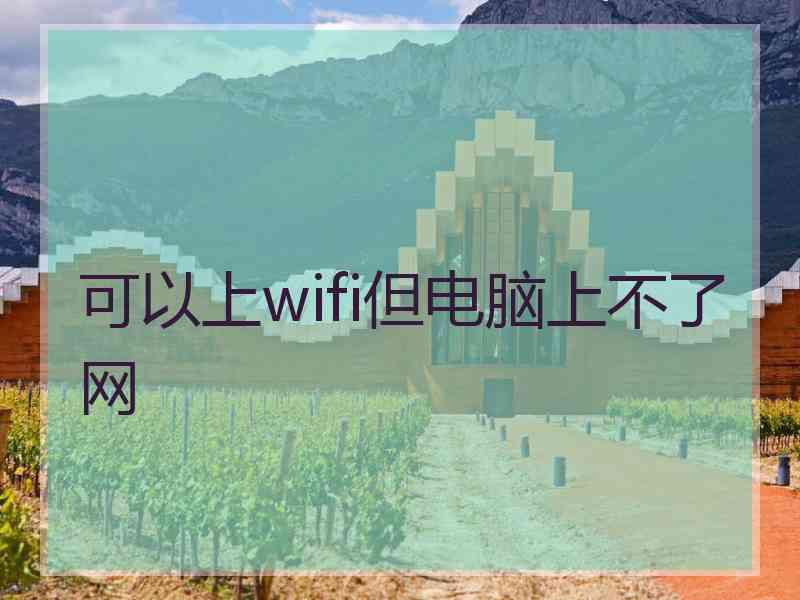 可以上wifi但电脑上不了网