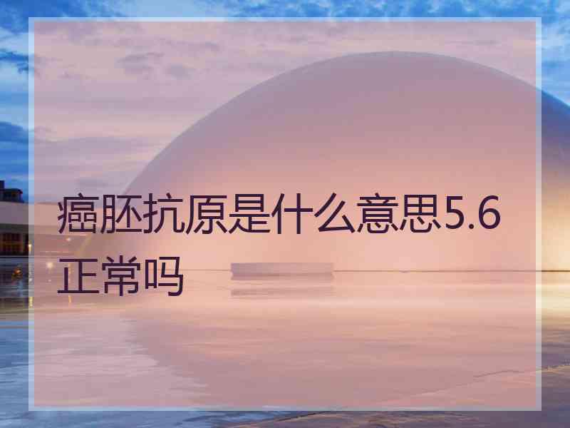 癌胚抗原是什么意思5.6正常吗