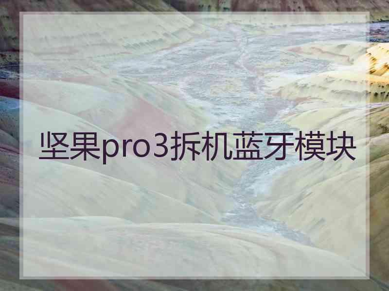 坚果pro3拆机蓝牙模块