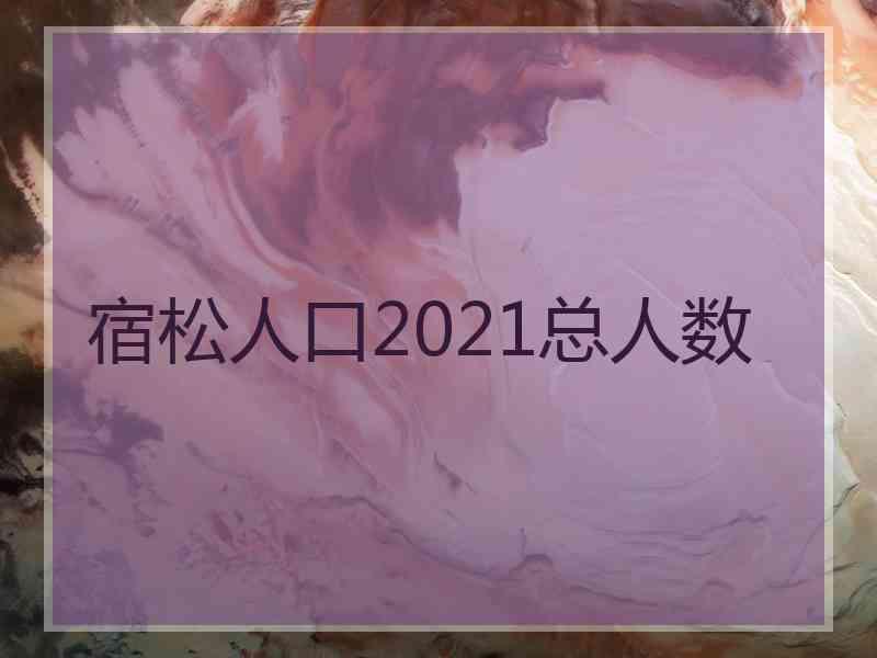 宿松人口2021总人数