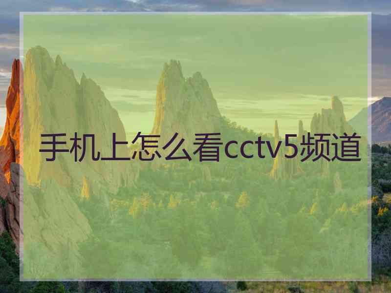 手机上怎么看cctv5频道