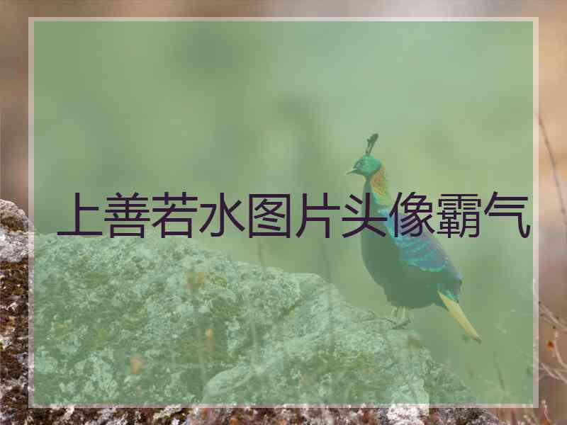 上善若水图片头像霸气