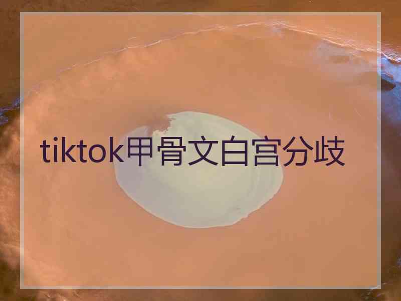 tiktok甲骨文白宫分歧