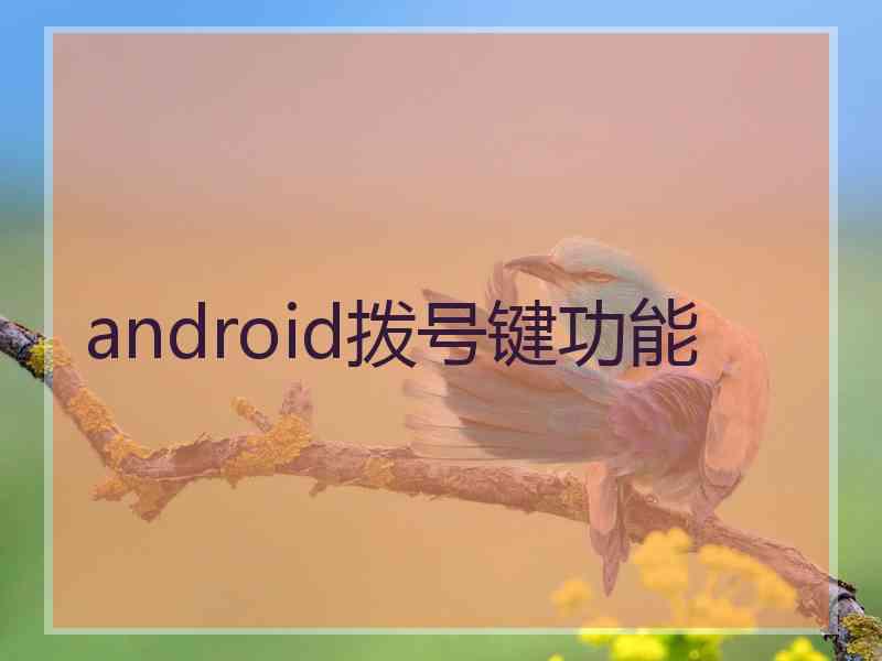 android拨号键功能