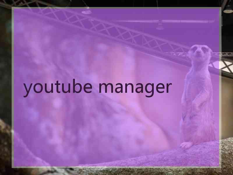 youtube manager