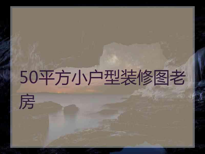 50平方小户型装修图老房