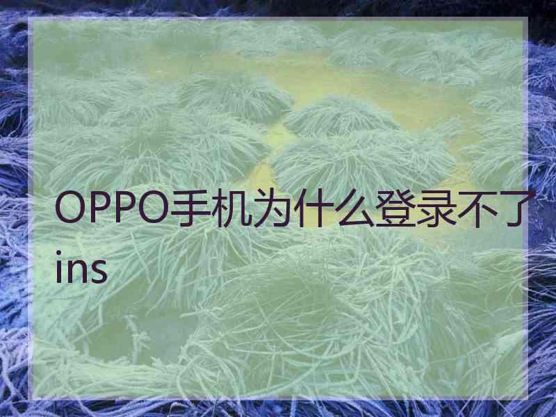 OPPO手机为什么登录不了ins