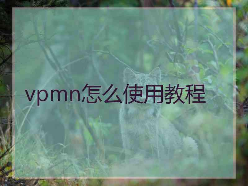 vpmn怎么使用教程