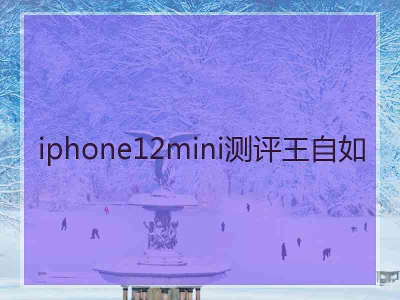 iphone12mini测评王自如