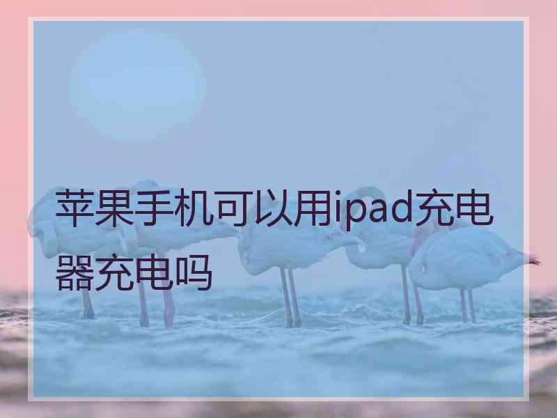 苹果手机可以用ipad充电器充电吗