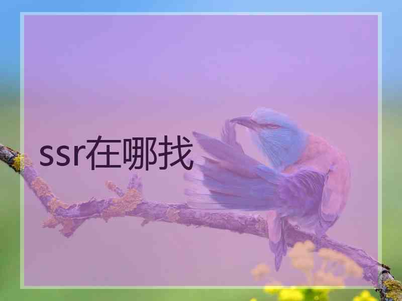 ssr在哪找