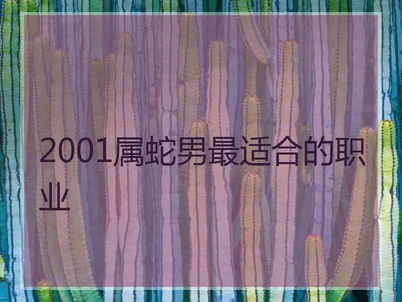 2001属蛇男最适合的职业