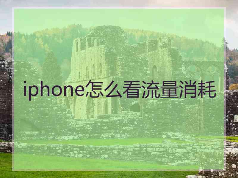 iphone怎么看流量消耗