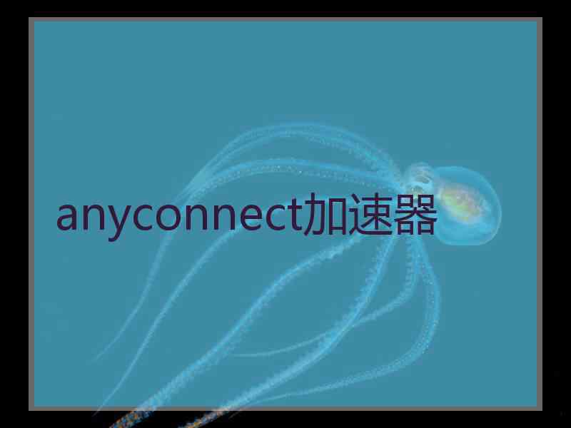 anyconnect加速器