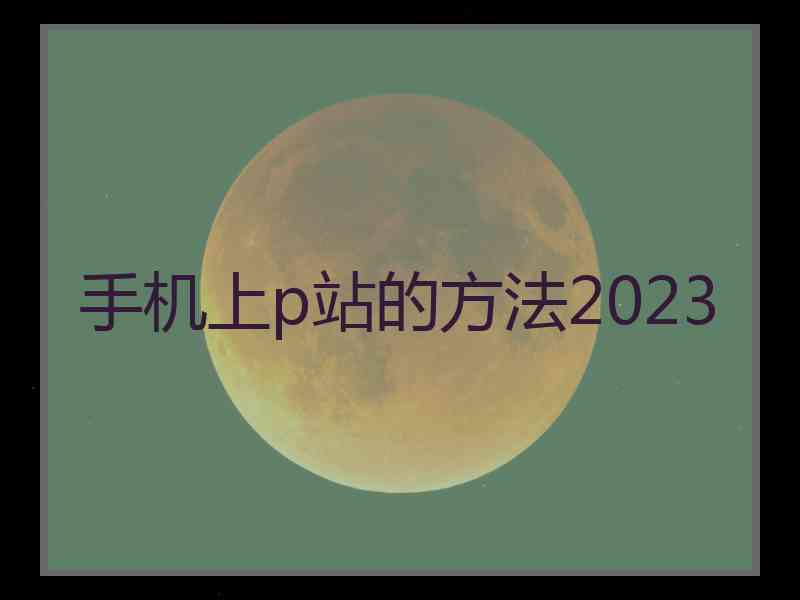 手机上p站的方法2023